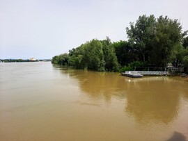 Dunai árhullám Mohácsnál
