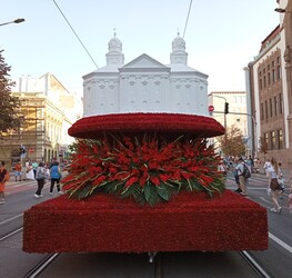 Virágkarnevál, Debrecen 2024.